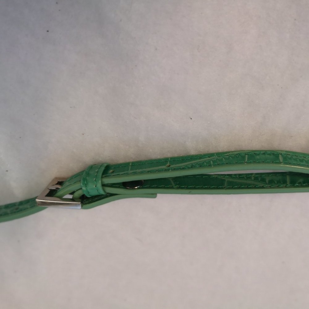 Danier Genuine Leather Green Reptile Pattern Crossbody or Clutch - Picture 8 of 11